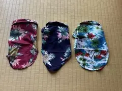 Item thumbnail for item 3707281a-82d0-4c35-84a3-231f146094b0