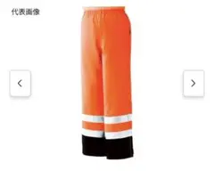 Item thumbnail for item 6a379df8-fb3e-4163-9761-33c7062b2257