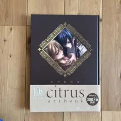 citrus artbook シトラスアートブック 新品未開封シュリンク付 2025年最新】citrus artbookの人気アイテム - メルカリ