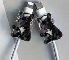 Item thumbnail for item a53b83d2-2faf-4438-b0a2-0efa08ba754b