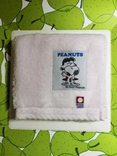 Item thumbnail for item 7ce72ede-5b16-4597-9007-7a855d2a7f3a