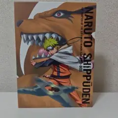 NARUTO SHIPPUDEN 六尾発動の章ボックスセット