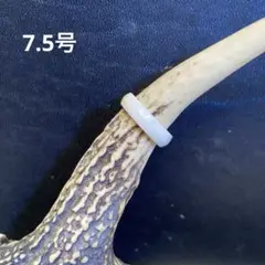 幸運の鹿の角リング265