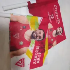 JOHN MOONEY 応援フラッグ