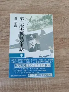 第二次大戦航空史話 中