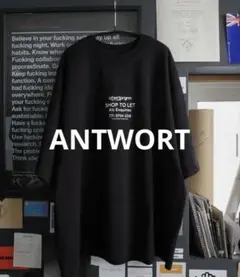 【美品】ANTWORT SOUVENIR Tee Black L