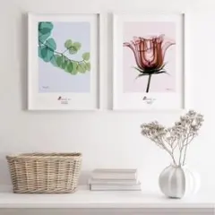 Item thumbnail for item 3fca8144-c84f-4241-b403-c5b3e0c75bcb