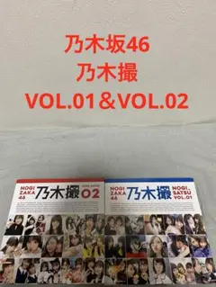 Item thumbnail for item 40d3df43-fd39-4736-8f6c-3f2efd22c489