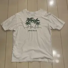週末セール！banks journal palm tree tee white