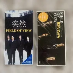 FIELD OF VIEW 8cmCD2枚セット 「突然」「君がいたから」
