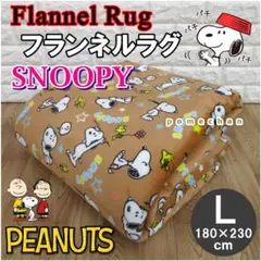 ハナ٩(๑❛ᴗ❛๑)۶さま（・''●）スヌーピーラグカーペット３帖＋ペット2個組 2025年最新】SNOOPY ラグ・カーペットの人気アイテム - メルカリ