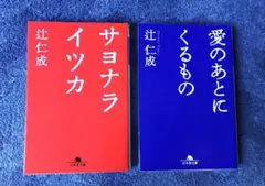 書籍2冊　辻仁成　"サヨナライツカ""愛のあとにくるもの"