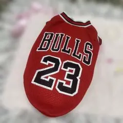 Item thumbnail for item af461002-d832-46b0-8ccb-9cbdd02cf7cf