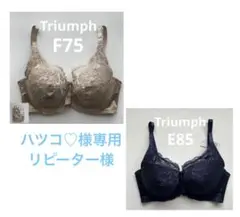 Item thumbnail for item 1d75399a-bd88-4fe5-a677-e3fddcd04f36