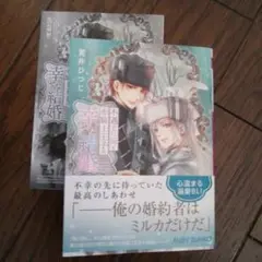 不遇の花嫁と赤騎士王子の幸せな結婚　コミコミ限定SSつき