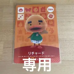 どうぶつの森　あつ森　amiiboカード　リチャード