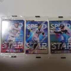 2023プロ野球チップス　ランダム24枚セット