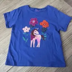next Tシャツ116センチ