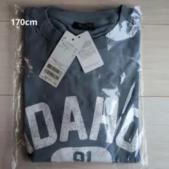 Item thumbnail for item 17400832-d253-487c-bf0e-f8766fe02b2b