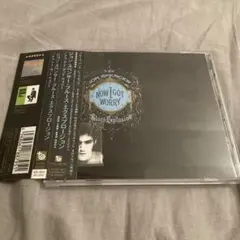 Jon Spencer Blues Explosion 国内盤cd