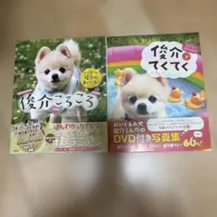 俊介ころころ : 俊介のまいにち2冊セット
