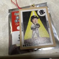 山﨑颯一郎常熱かるたキーホルダー