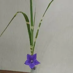 竹細工 一輪挿し