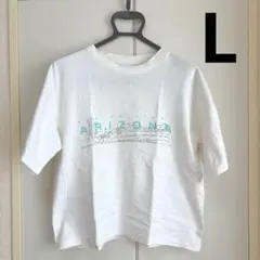 THE ORIGIMAL ARIZONA JEAN COMPANY Tシャツ　L