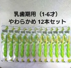 デンタル333 ベジトゥキッズ 歯ブラシ えだまめ やわらかめ 12本