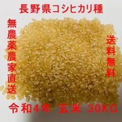 長野県産 令和4年 玄米 30KG 無農薬農家直送 送料無料