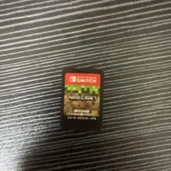Minecraft Nintendo Swich