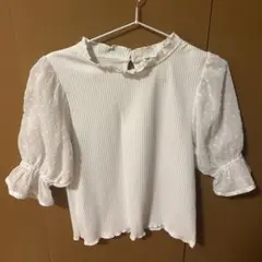 白トップス