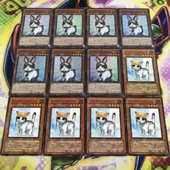 17107 レスキューキャット レスキューラビット 計12枚 スーパー ノーマル