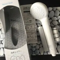 Item thumbnail for item 6c217577-3097-45b6-9209-853aaea67836