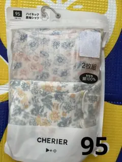 Item thumbnail for item 4ee24bd9-38c8-47c2-b35a-58b31255c553