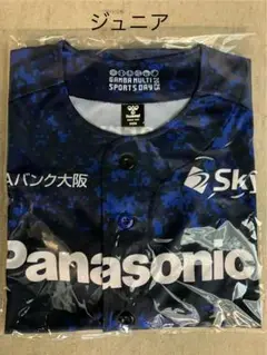 Item thumbnail for item 3de0edf2-1032-4aa4-a5c6-a021e29f1f51