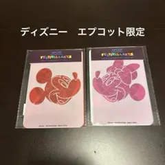 EPCOT フェスティバルアーツ ミッキー　ミニー　エプコット　ステンシル