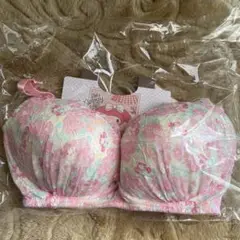 未使用 タグ付きピンクマイメロディーブラジャーLLサイズ