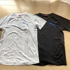 PUMA ロゴ Tシャツ 2枚セット L 速乾 511632 黒 白　J5