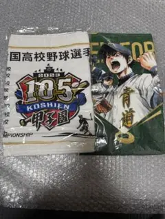 甲子園タオル ダイヤのA甲子園コラボタオル 2023