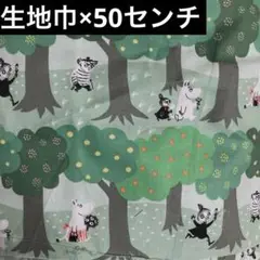 ムーミン はぎれ