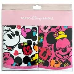 Item thumbnail for item 76d16172-0afd-4e0c-afb9-6a4cfabb20a5