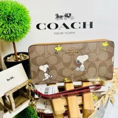 COACH コーチ 長財布 スヌーピー コラボ シグネチャー ブラウン