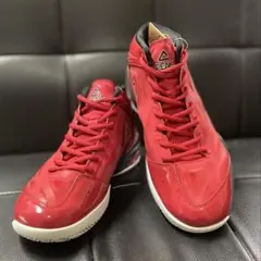 peak ピークTony Parker 1 トニー・パーカー 値下げ交渉可】 PEAK TONY PARKER 1 トニー パーカー - メルカリ