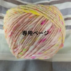 どあらさま専用ページ　野呂栄作　アイスクリーム　バニラ　毛糸　2玉