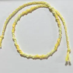 Item thumbnail for item 557fc455-dcab-408a-a516-259277603932