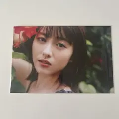 浜辺美波 写真集20 ニジュウ 特典 ポストカード