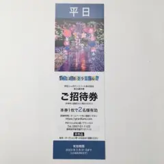 伊豆高原グランイルミ 平日ペア招待券 1枚 匿名配送