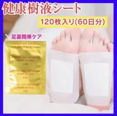 Item thumbnail for item 6e9d02b6-1611-4898-b8c6-a03857481780