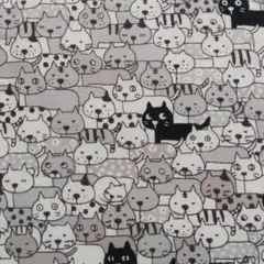 猫さん いっぱい B